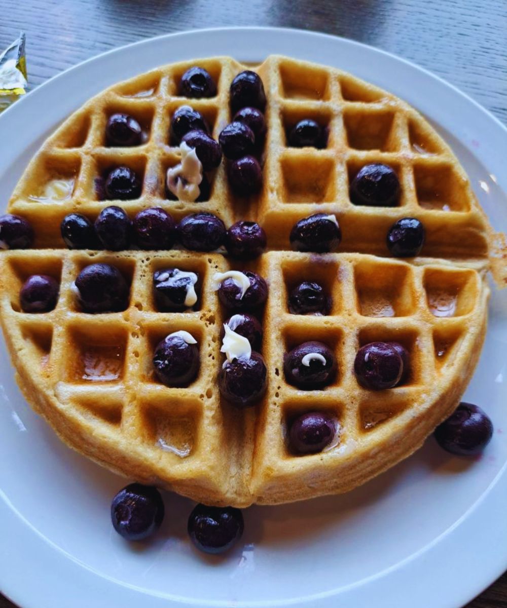 Photos for Sophia's Restaurant