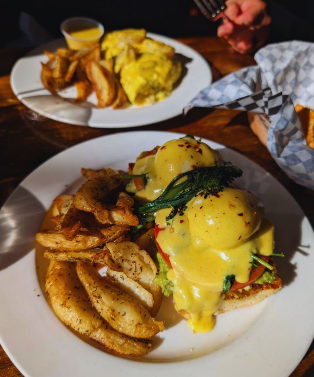 Photos for The Bee & the Biscuit