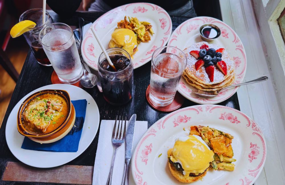 Photos for Little Owl