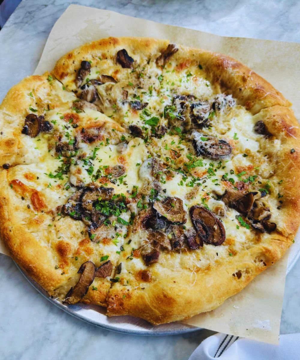 Photos for North Italia