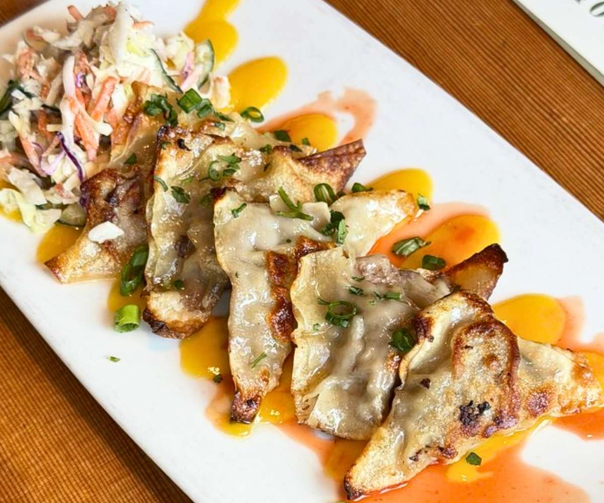 Bison Potstickers at Montana Ale Works in Bozeman, Montana