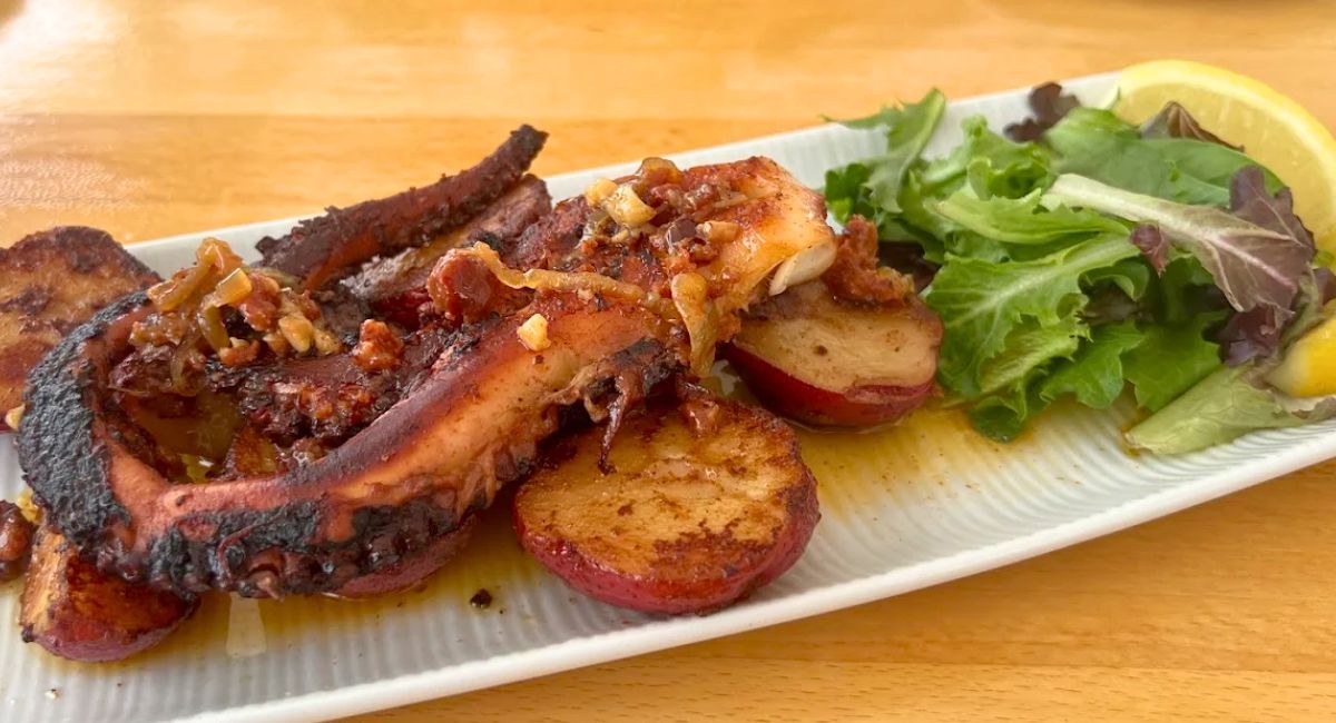 Octopus at Pier 52 in Fall River, Massachusetts