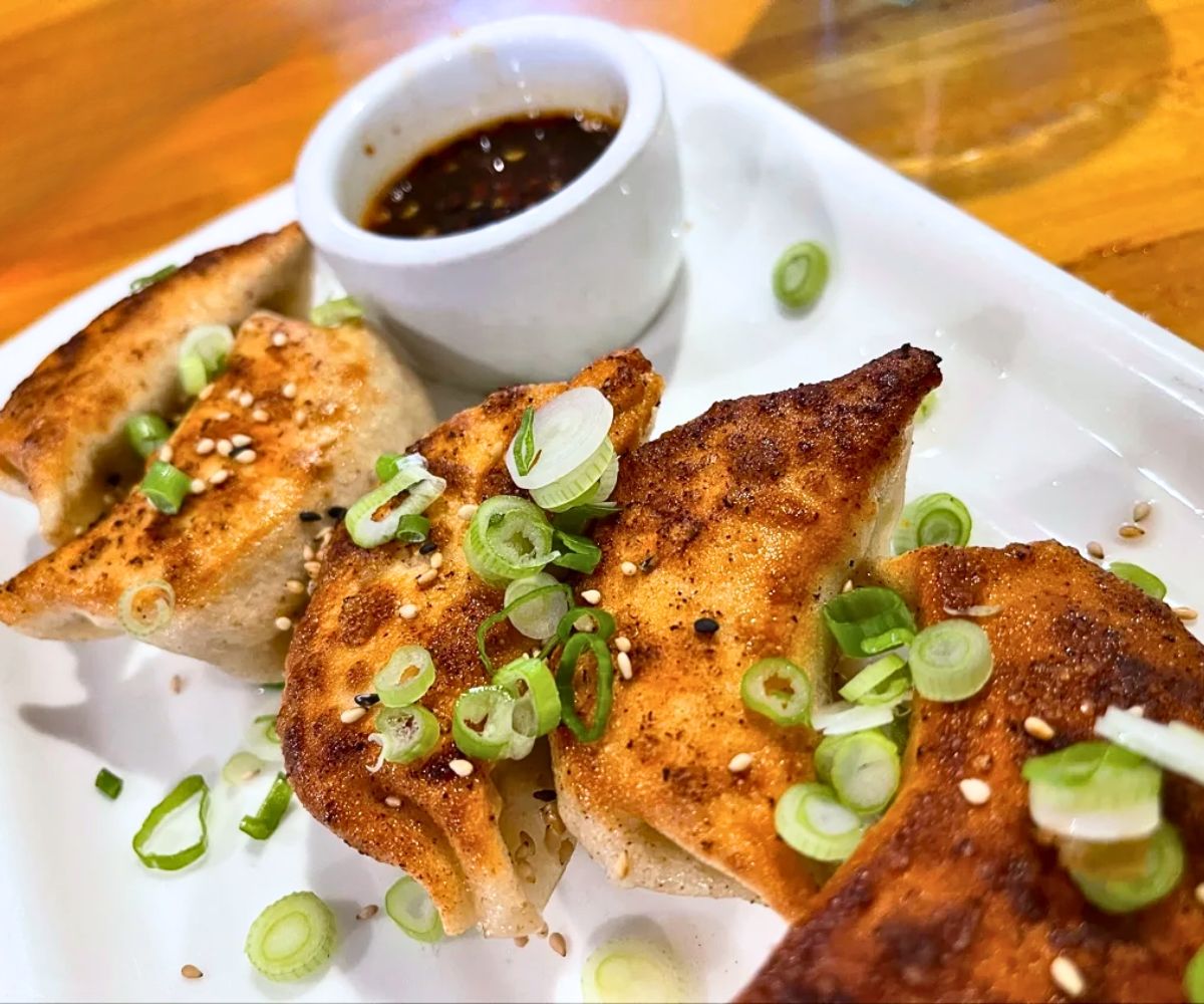 pork dumplings at Noodlezip in Bismarck, ND
