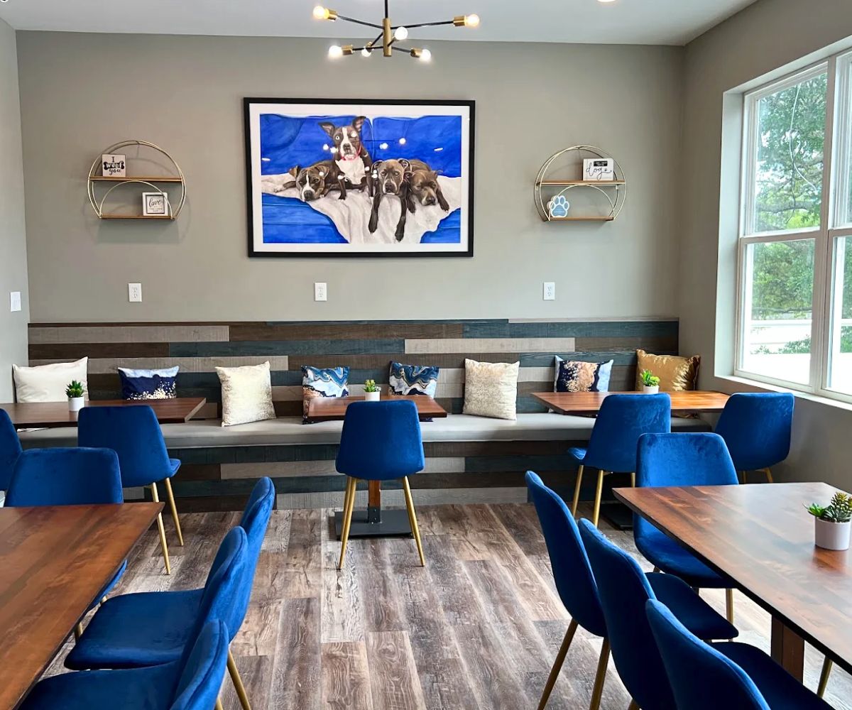 interior of Blue Dog Bistro in Gulfport, MS