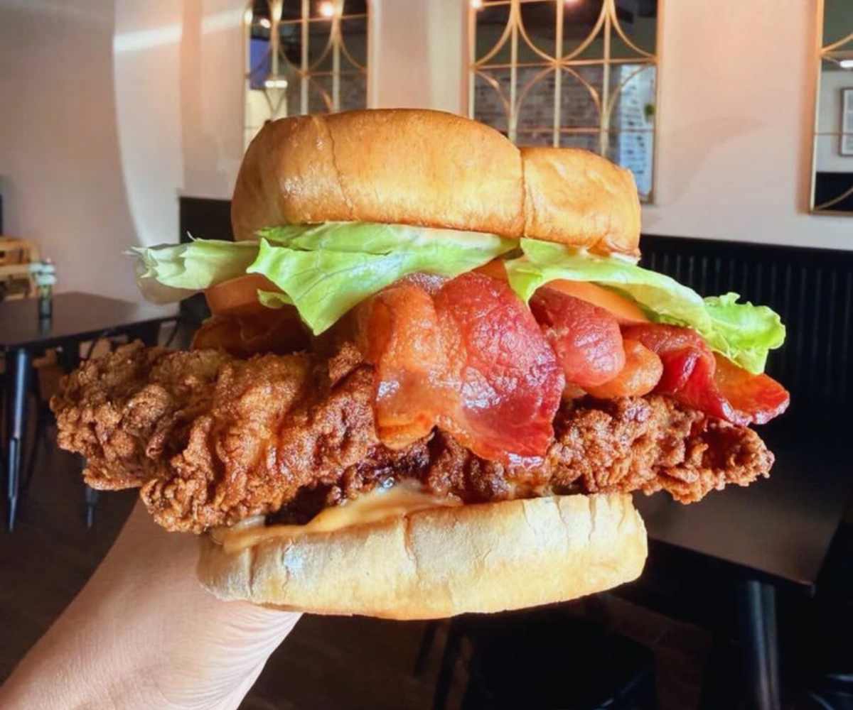 huge chicken sandwich at eleven80 cafe in Tampa Bay, FL