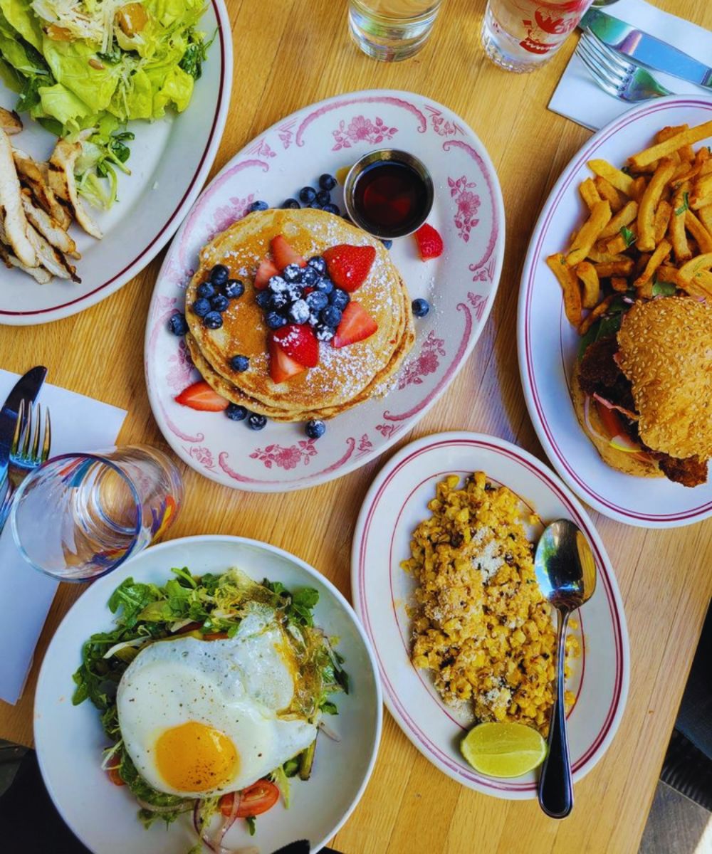 Photos for Little Owl