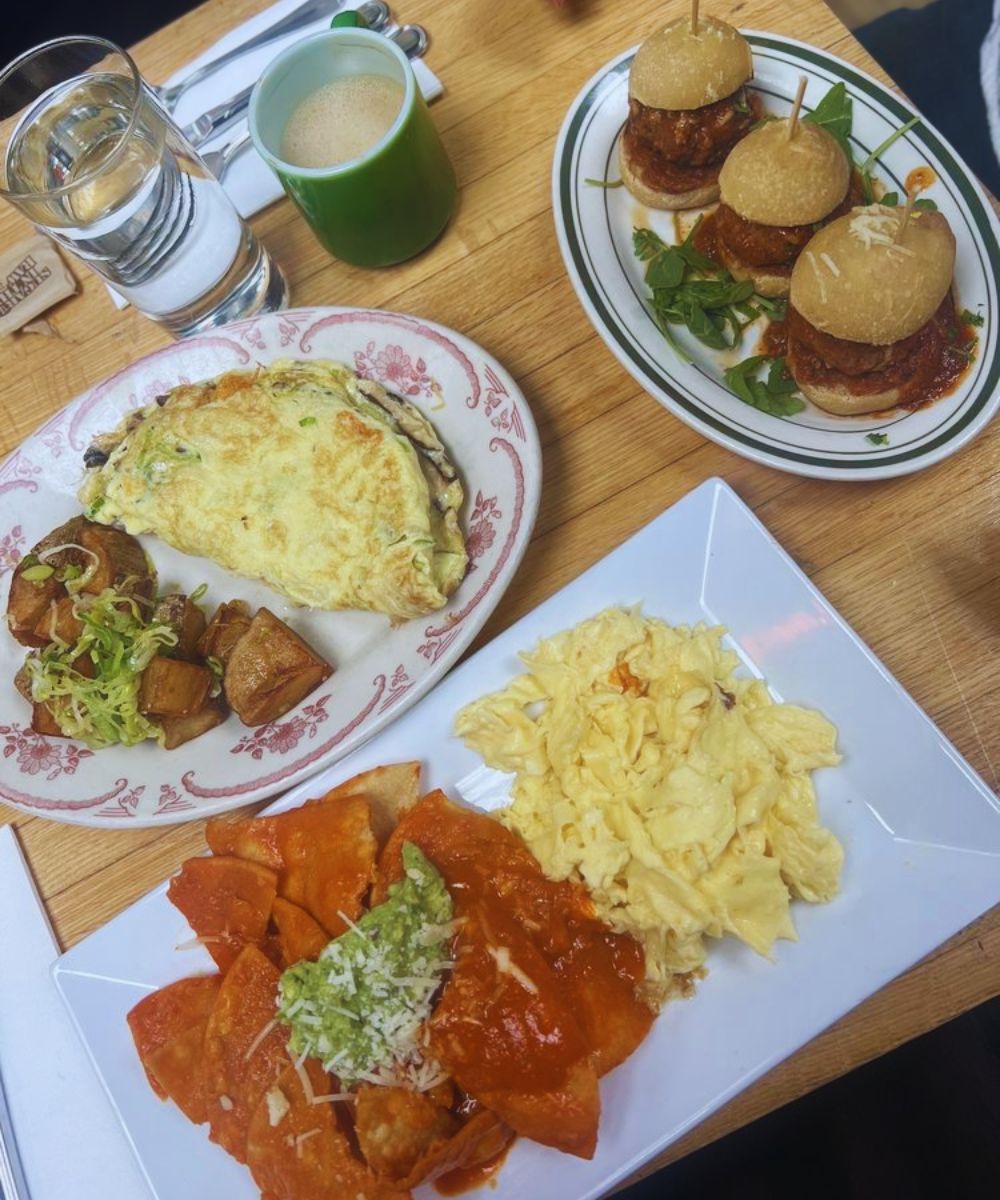 Photos for Little Owl