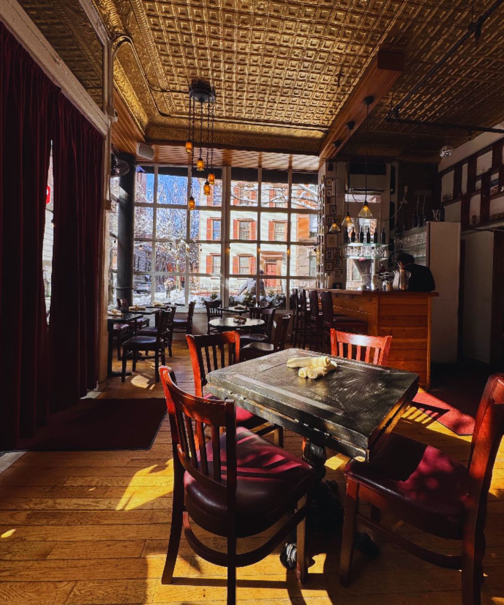 Photos for Little Owl