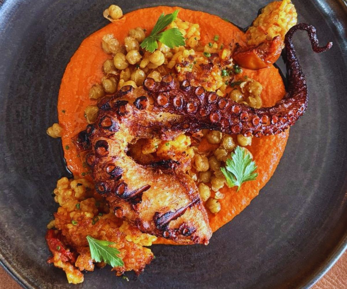 Beacon Grille - Grilled Octopus