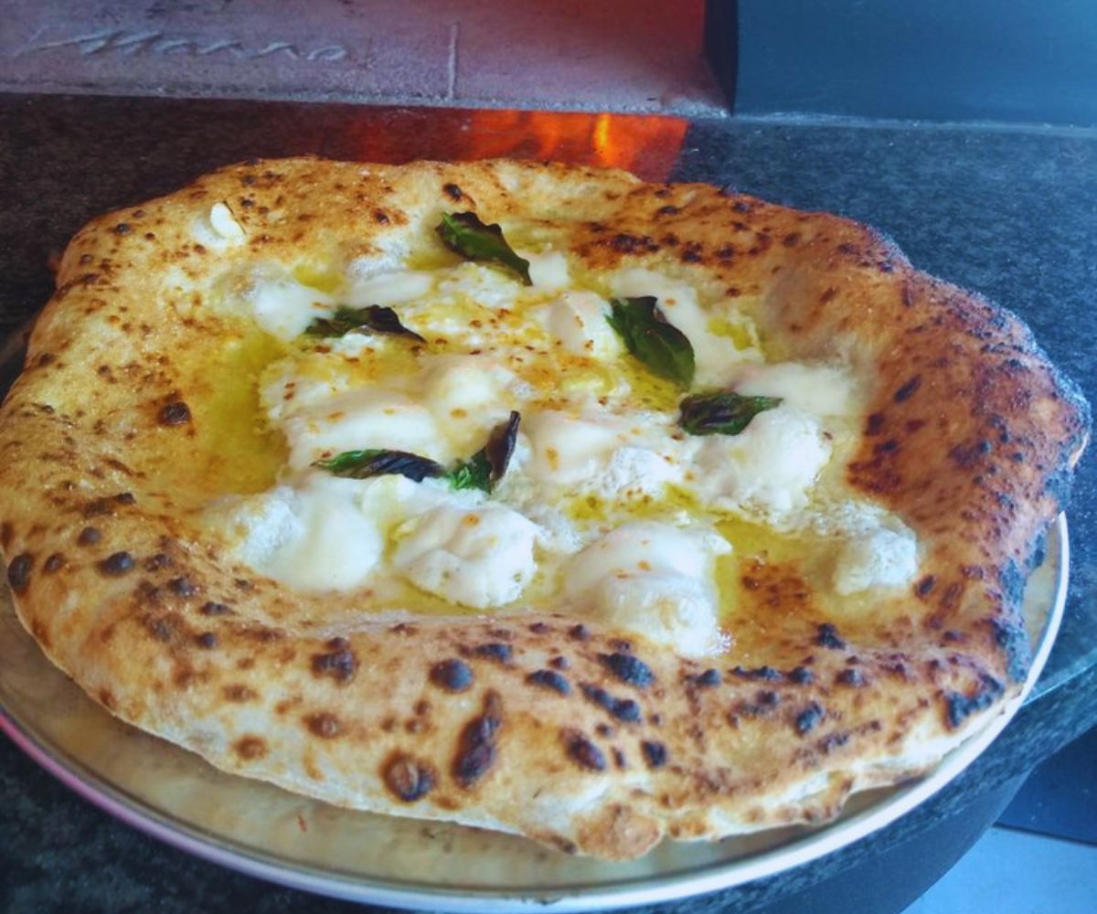 Gusto Napoletano Italian Restaurant and Pizzeria - Pizza Bianca