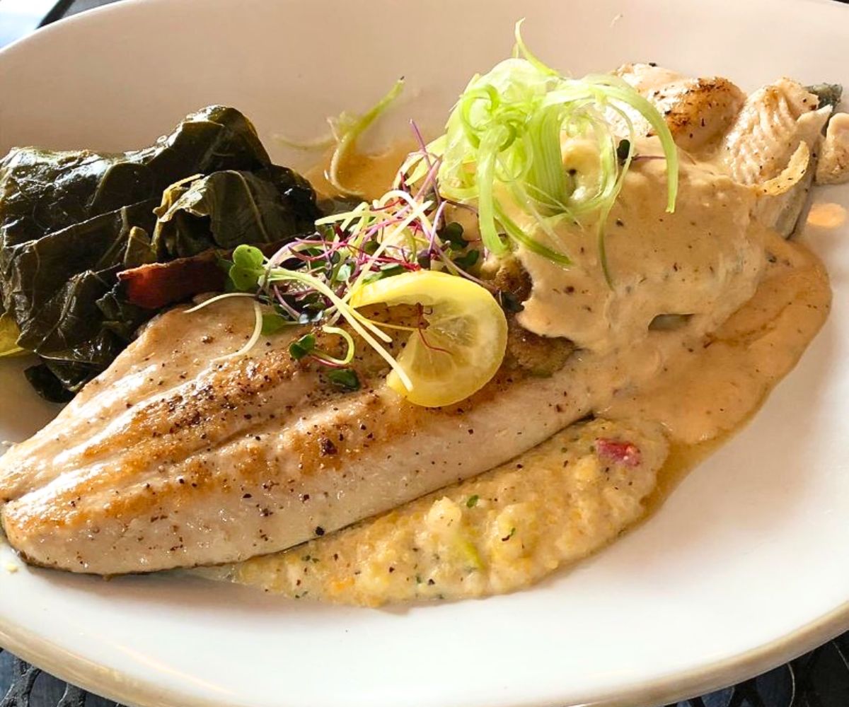 NC Mountain Trout at Square Root in Brevard, North Carolina