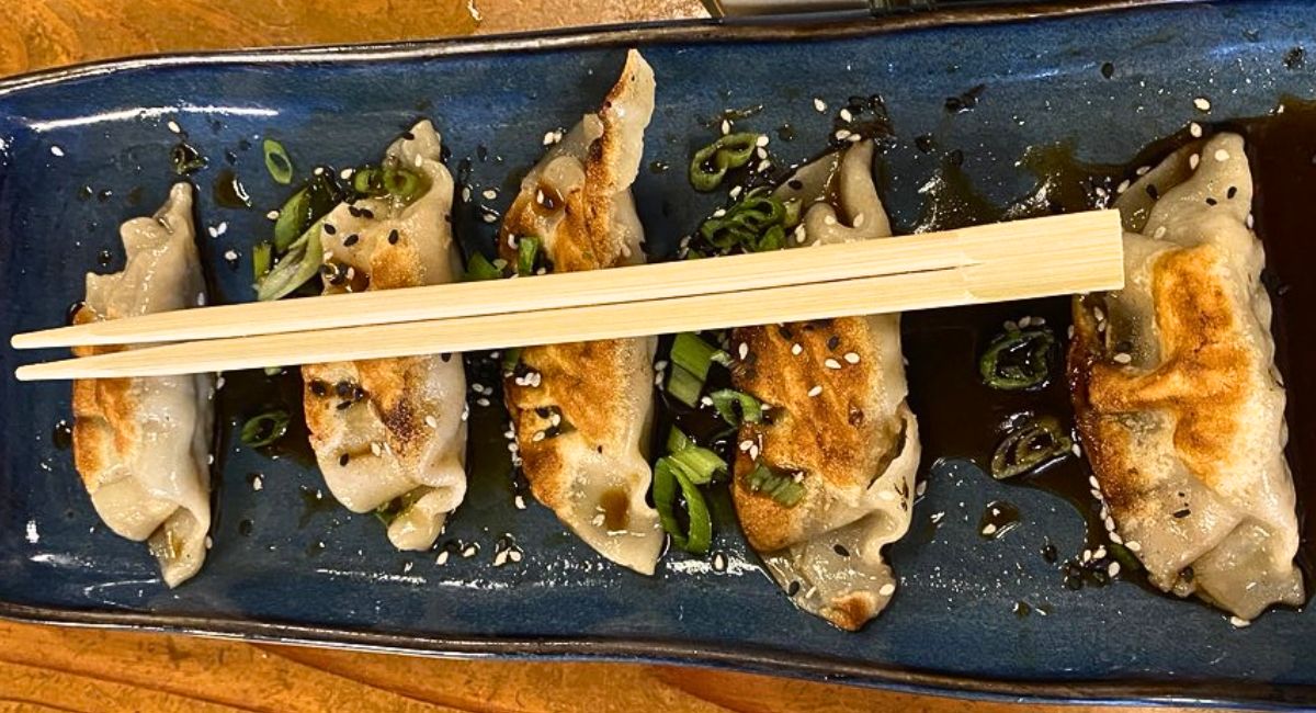 pork pot stickers at Square Root in Brevard, NC