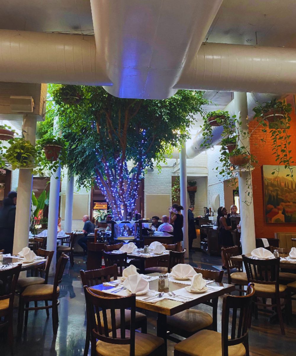 Photos for IL Giardino Ristorante