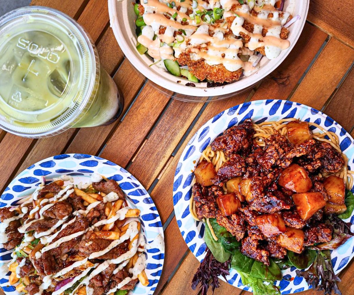 food at Chowology: Asian Kitchen in Pembroke Pines, FL