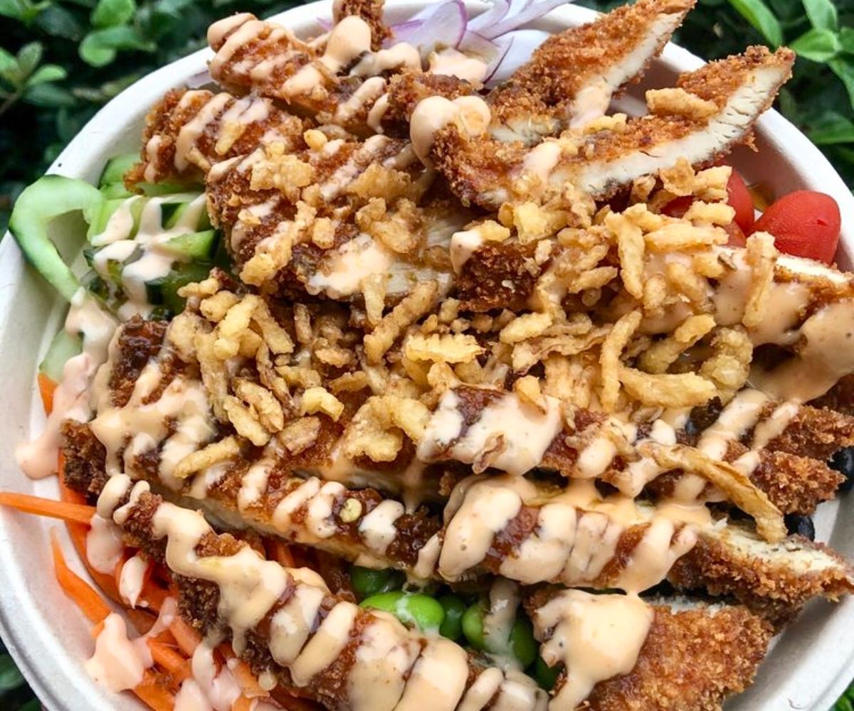 Chicken Katsu TLC at Chowology: Asian Kitchen in Pembroke Pines, FL