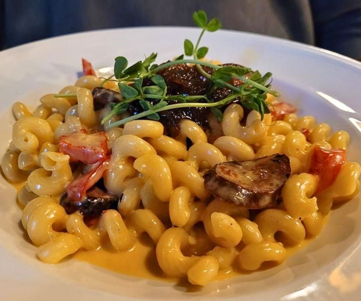 Mac and Cheese with pulled brisket at The Toasted Frog in Grand Forks, North Dakota