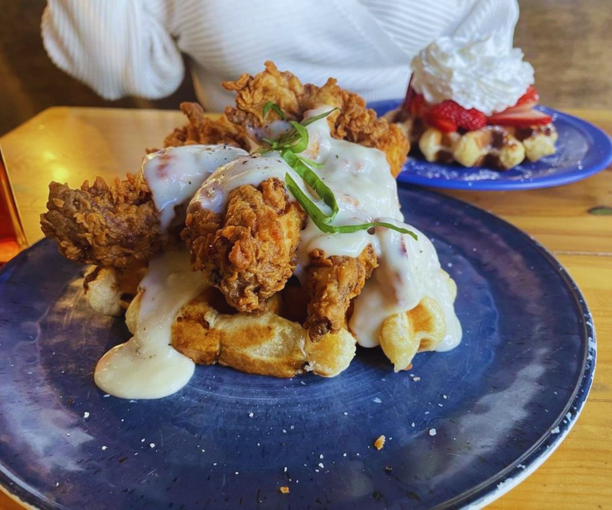 Waffle Me Up - Waffles & Chicken with Gravy