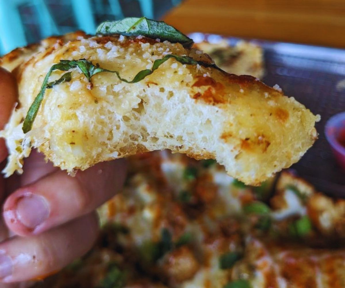 SoDough Square - Pizza Dough Closeup