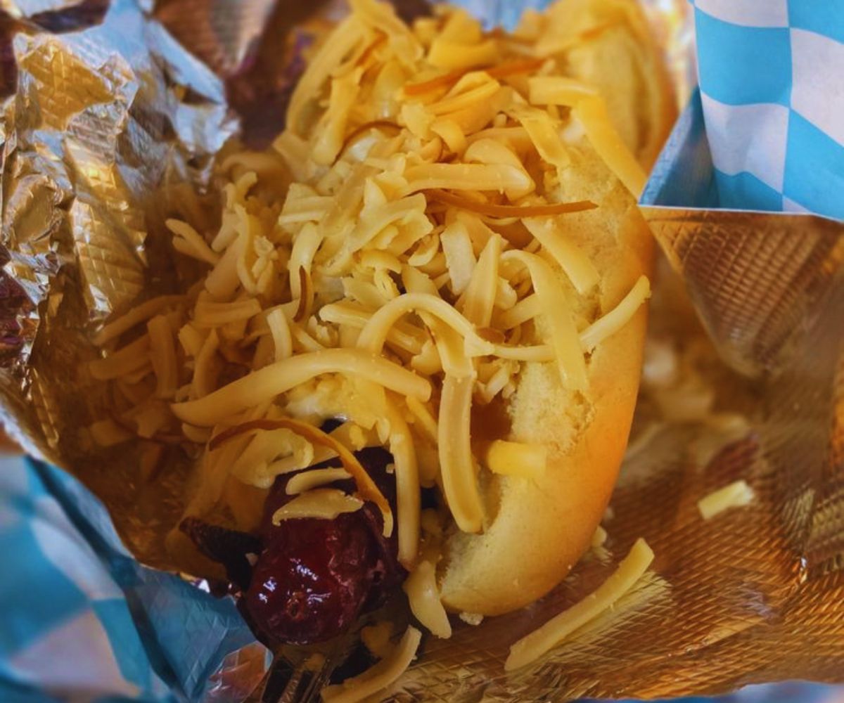 Bravas - Bravas Dog