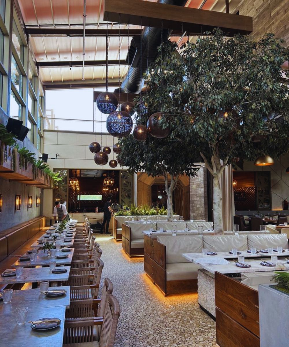 Photos for Toca Madera Scottsdale