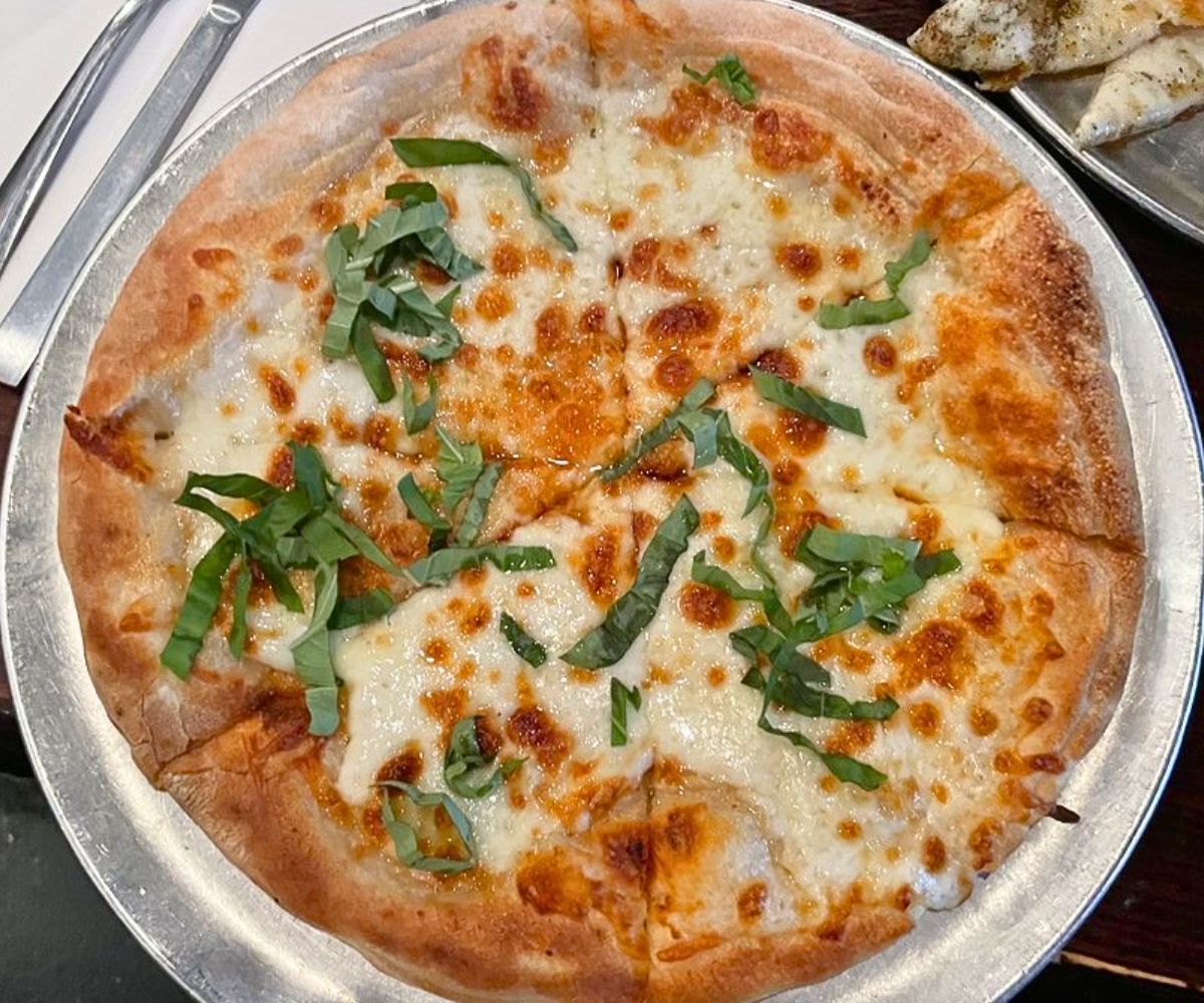 Alaskan Husky at Pub Dog in Columbia, MD