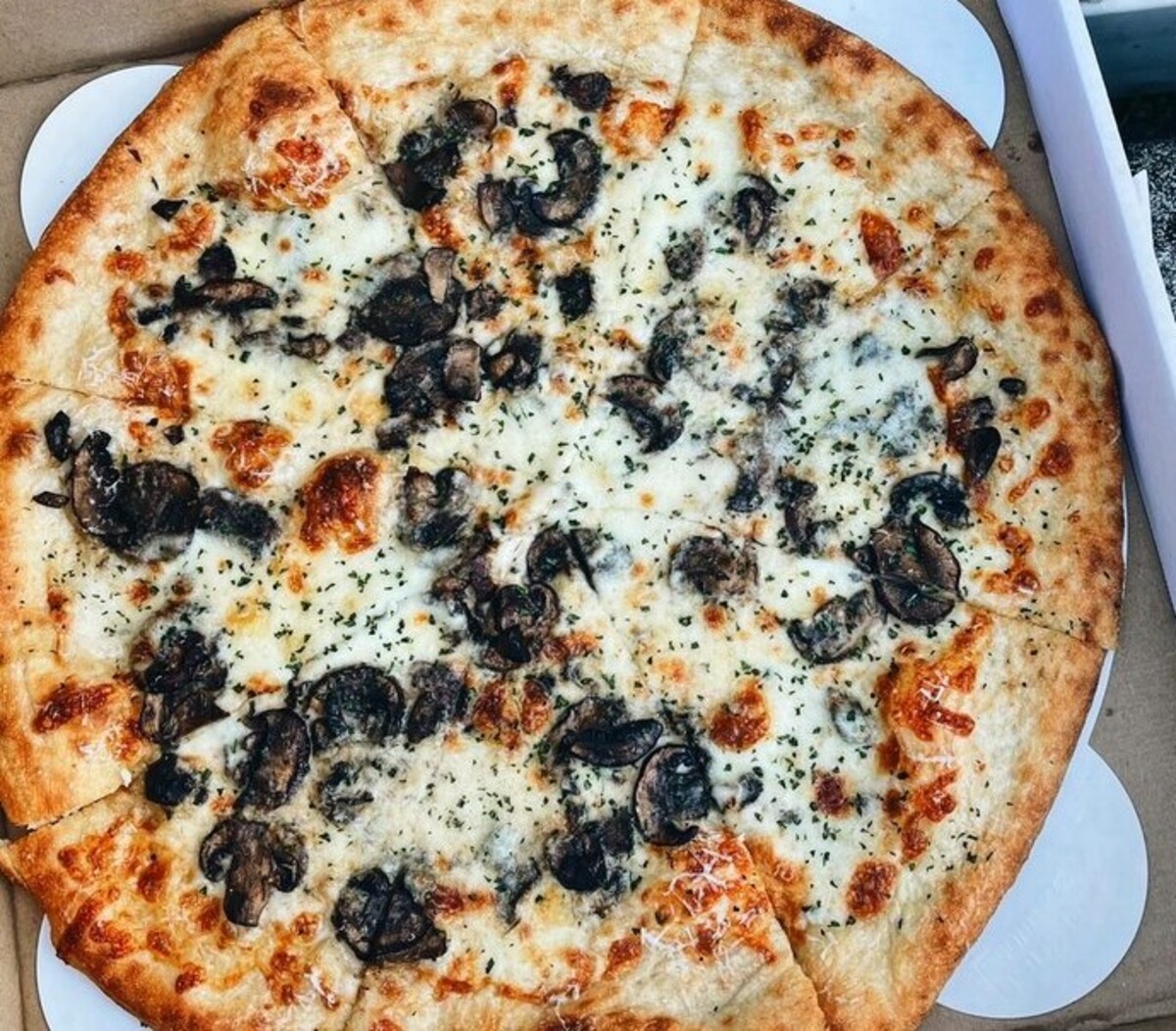 Pizza Mamo, Honolulu, HI