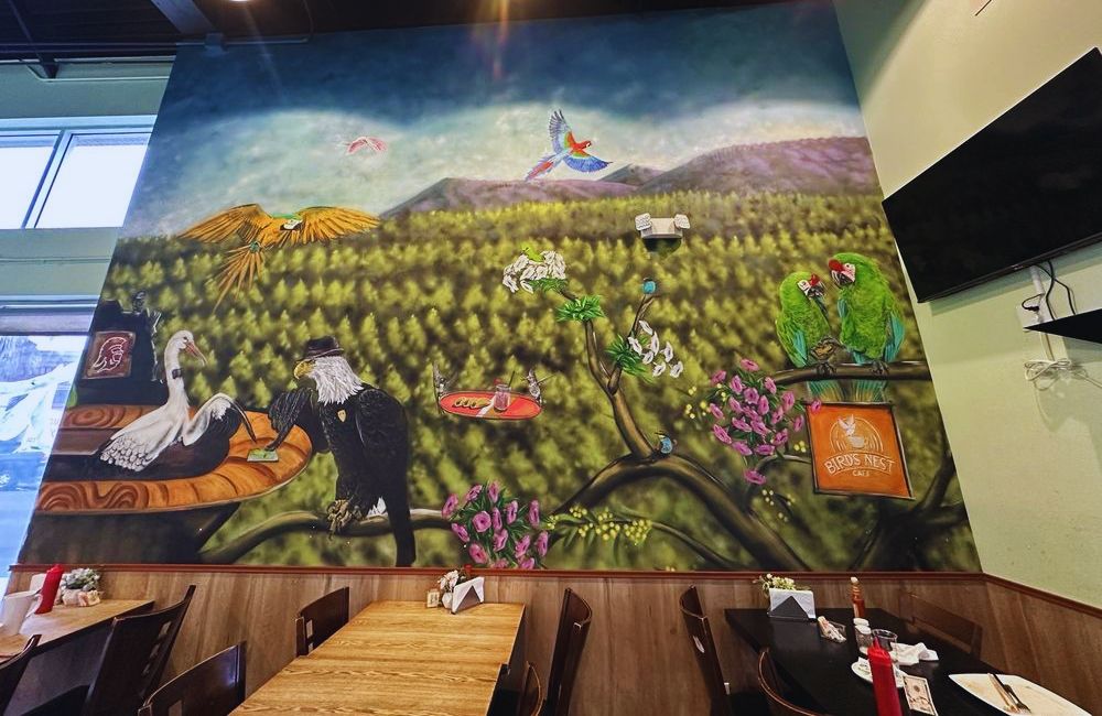 Photos for Bird's Nest Cafe