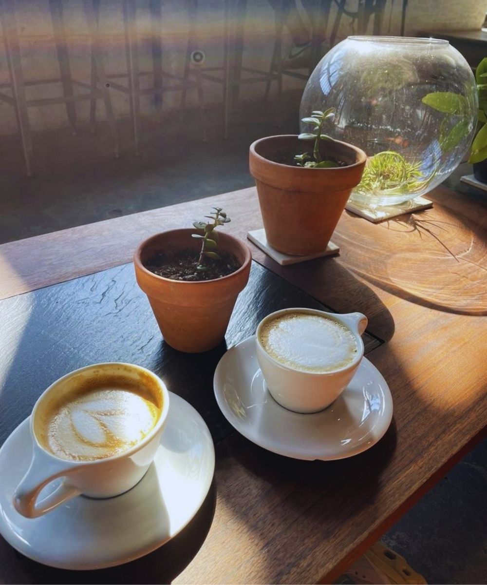 Photos for Menagerie Coffee