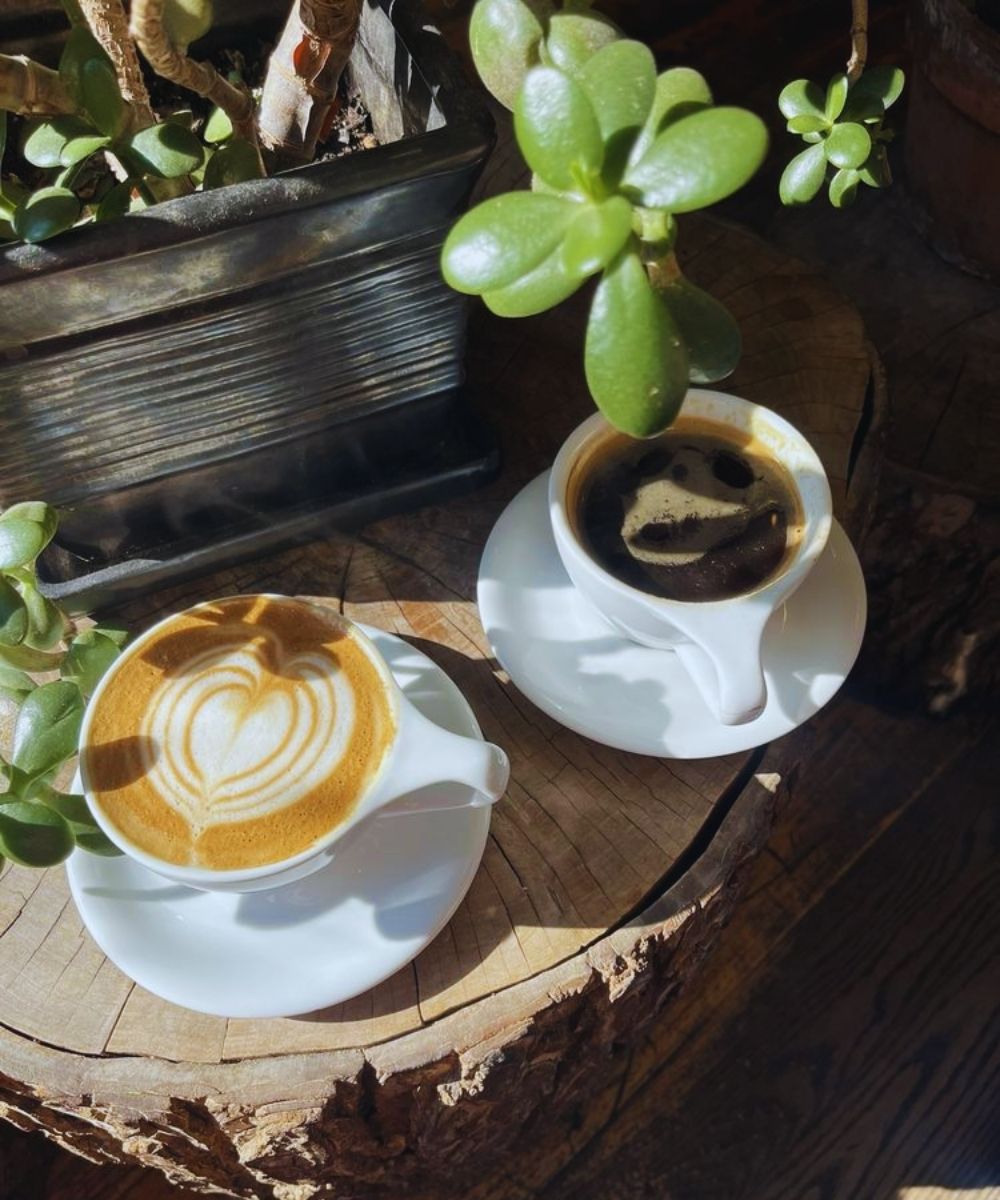 Photos for Menagerie Coffee