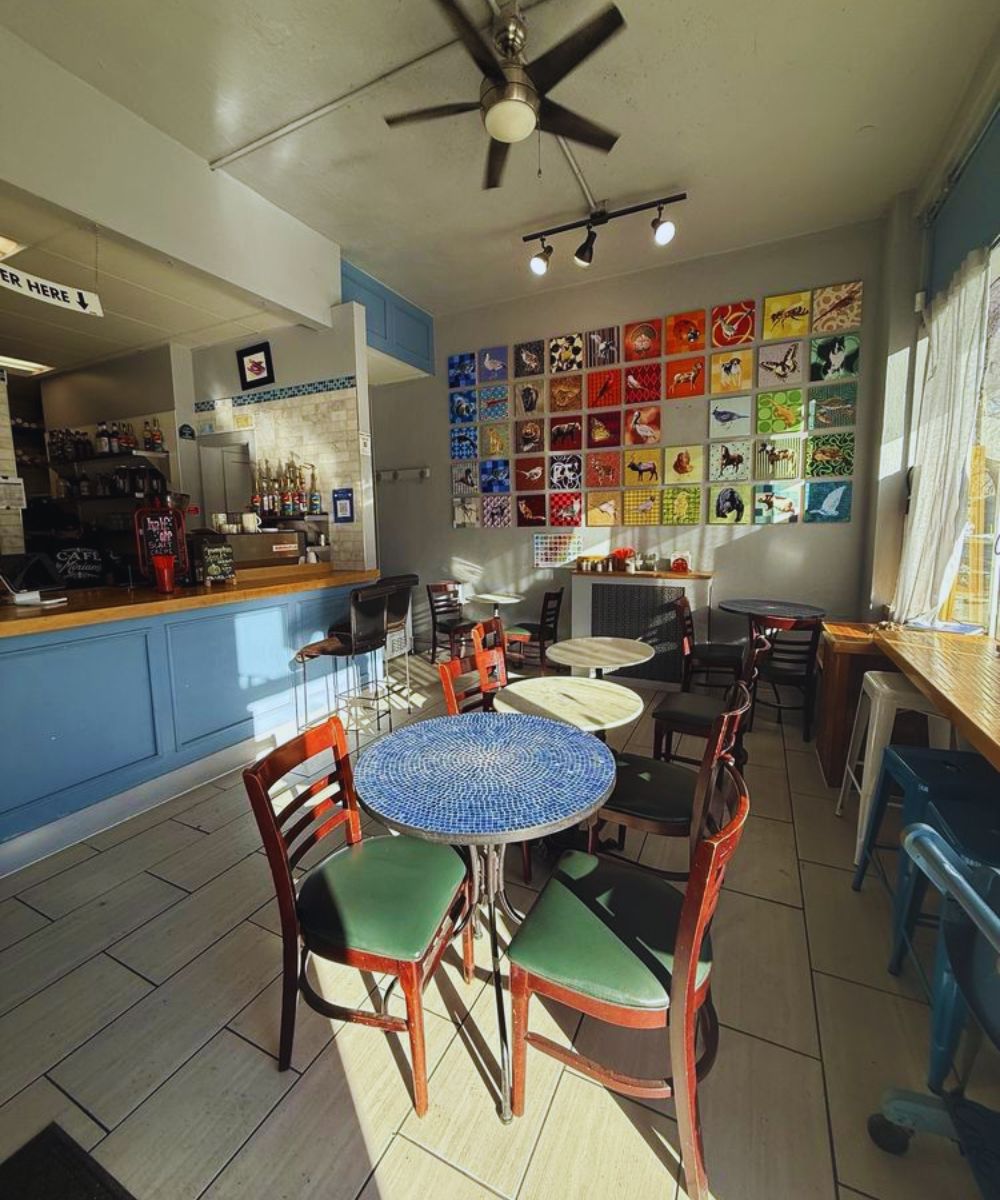 Photos for Café Miriam- City Park