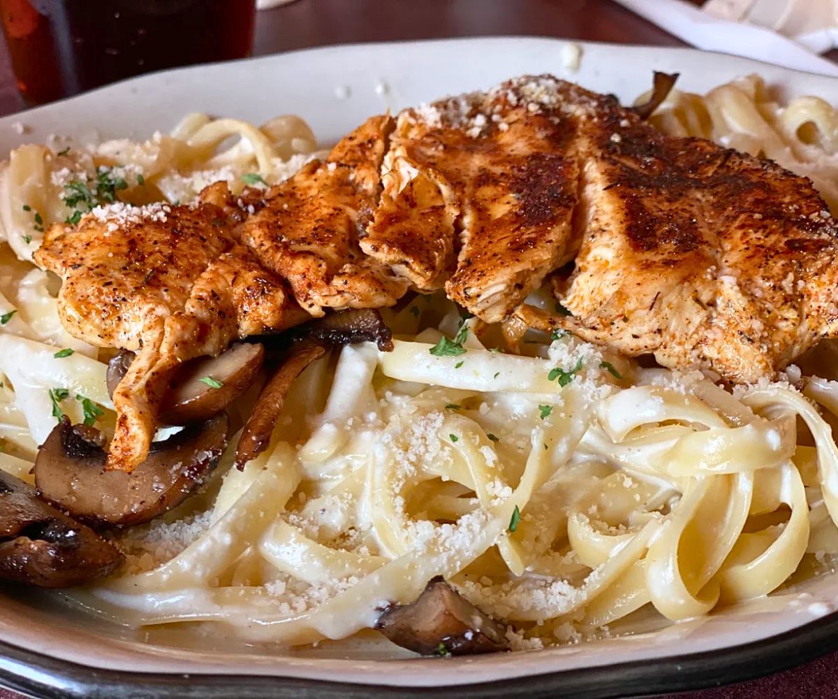 Chicken Fettuccine Alfredo at Oliverio's Ristorante in Bridgeport, WV