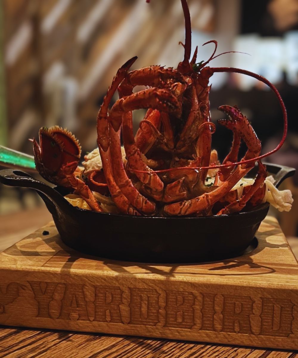 Photos for Yardbird