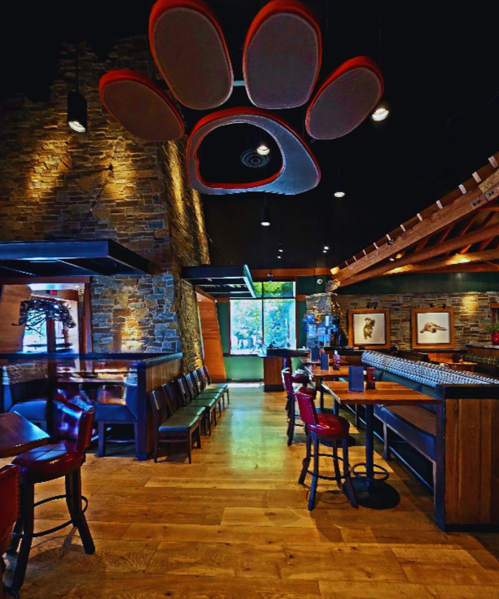 Photos for Lazy Dog Restaurant & Bar