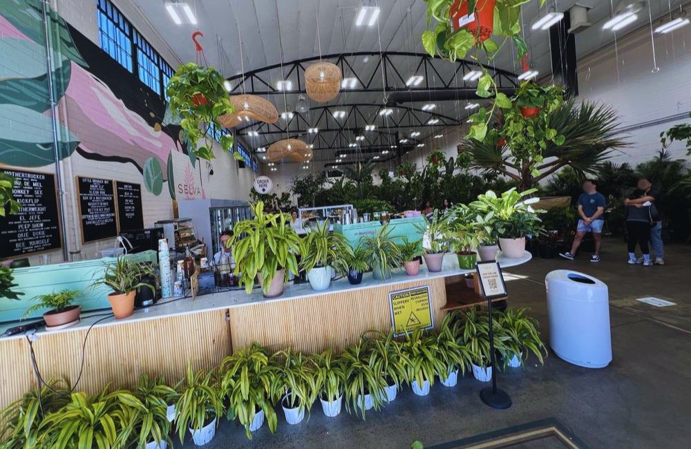 Photos for Selva Coffee House in San Diego, CA
