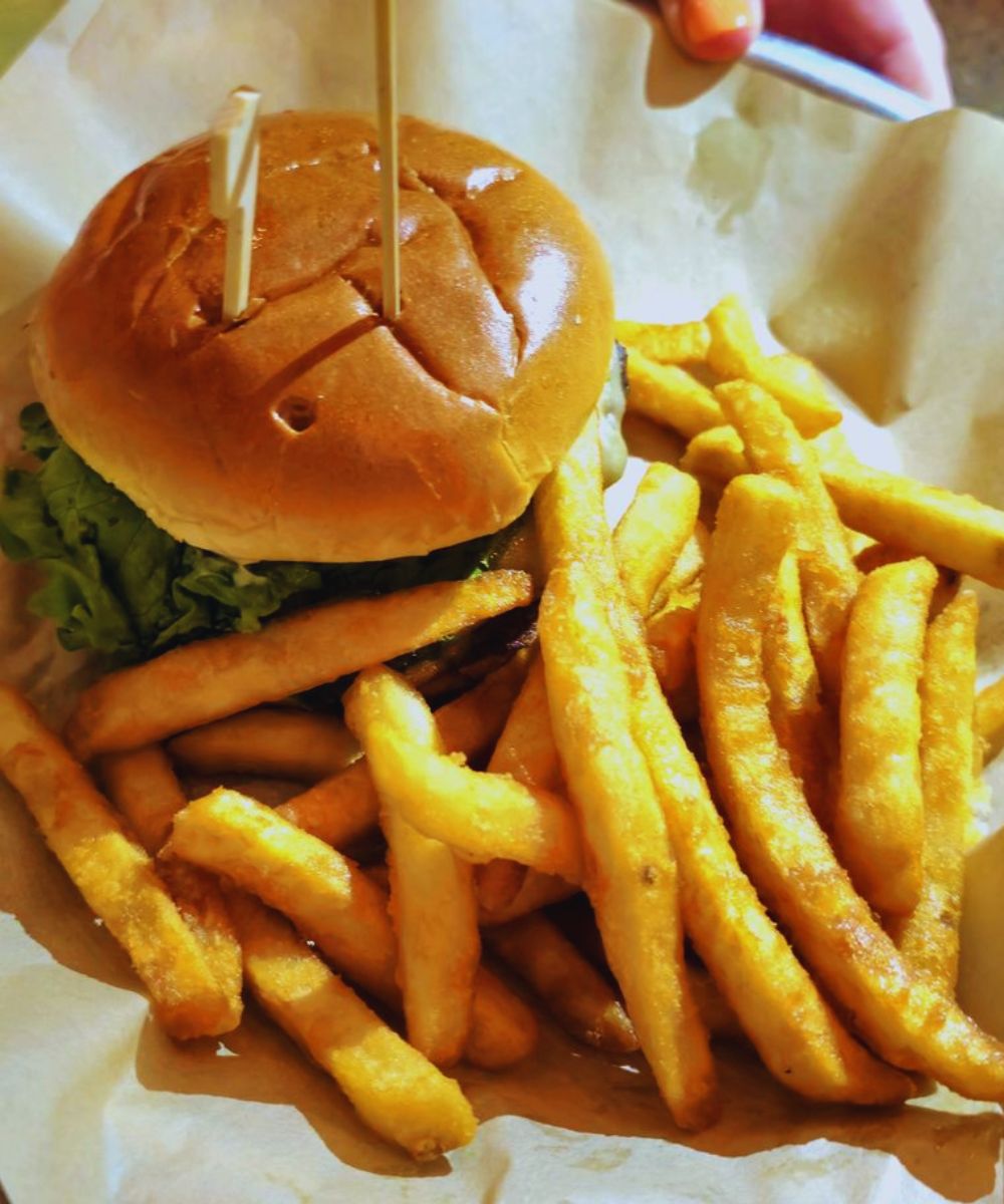 Photos for Lazy Dog Restaurant & Bar