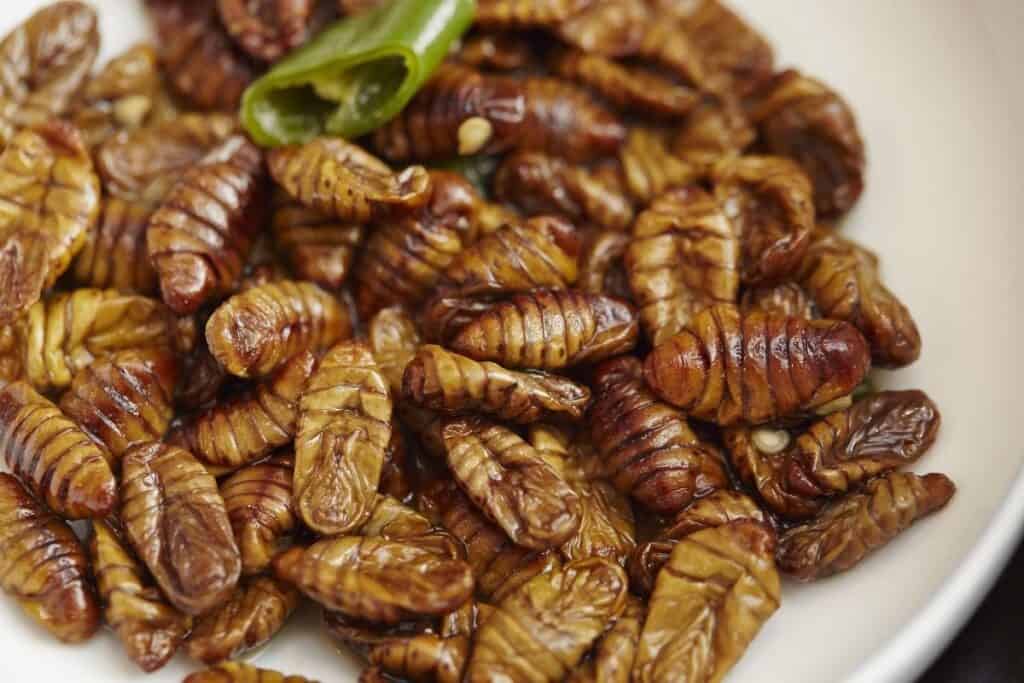 Beondegi — Silkworm pupae