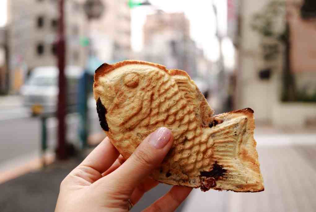 Taiyaki Japanese Street Food