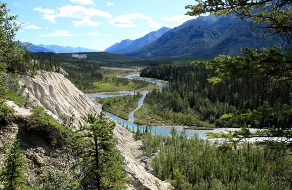 A moose in Muncho Lake Provincial Park Alaska, Road trip ideas in Alaska