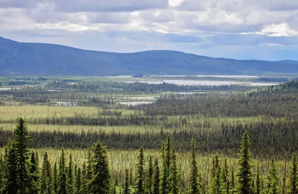 Tetlin National Wildlife Refuge, road trip ideas in Alaska