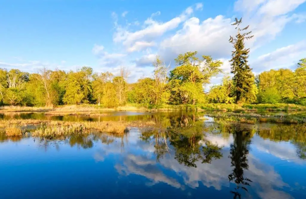 Tetlin National Wildlife Refuge, USA road trip ideas