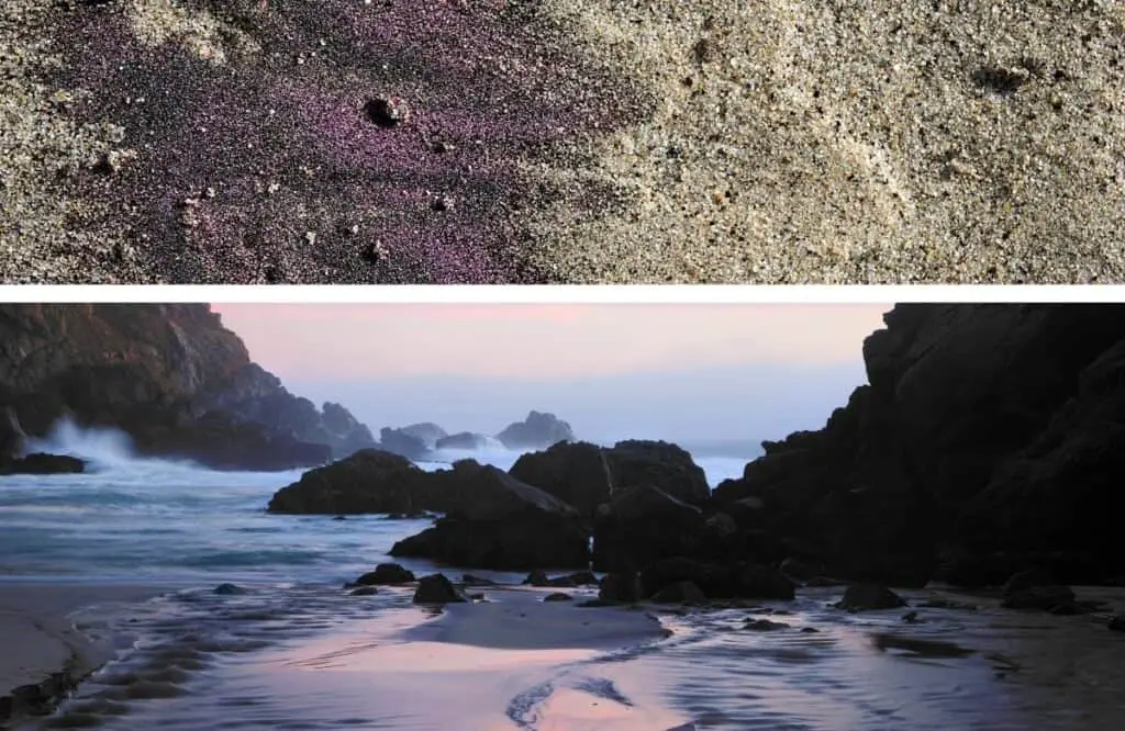  purple sand at Pfeiffer Beach, California