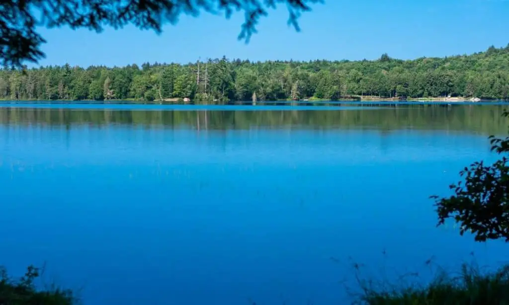 Serene Lake Placid