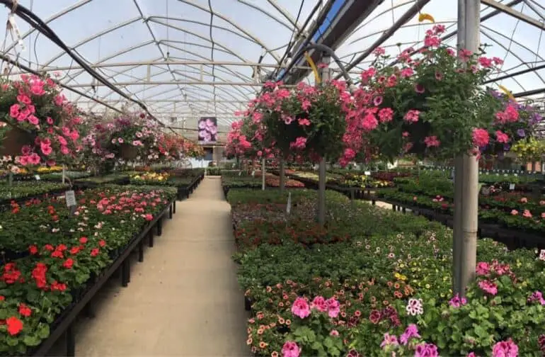 15 Best Things to Do in Binghamton, New York Go To Destinations