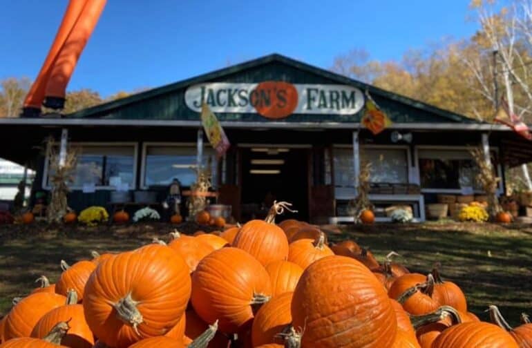 15 Best Things to Do in Binghamton, New York Go To Destinations