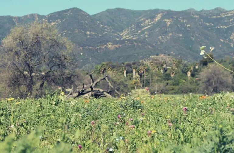 15 of the Best Things To Do in Ojai, California Go To Destinations