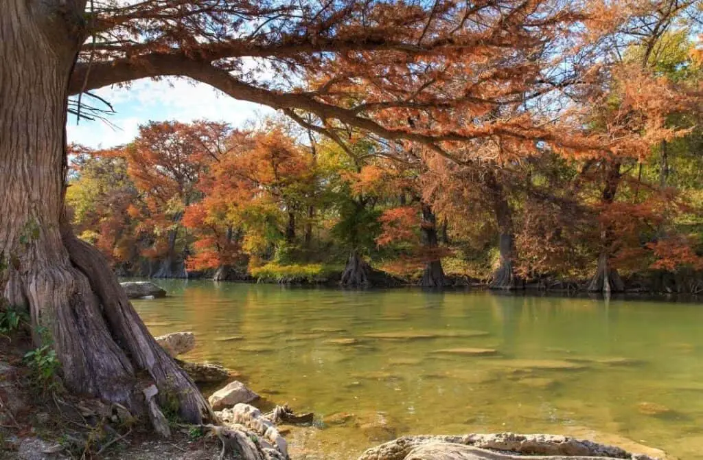 Guadalupe River State Park, Canyon Lake Tx