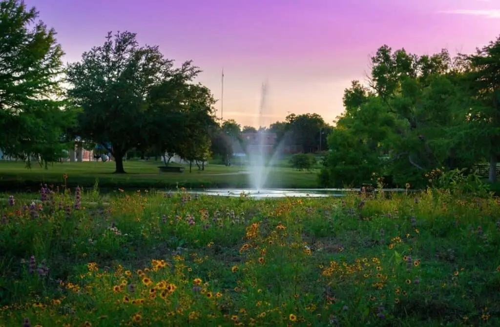 Miller Springs Nature Center, best things to do in Temple Texas