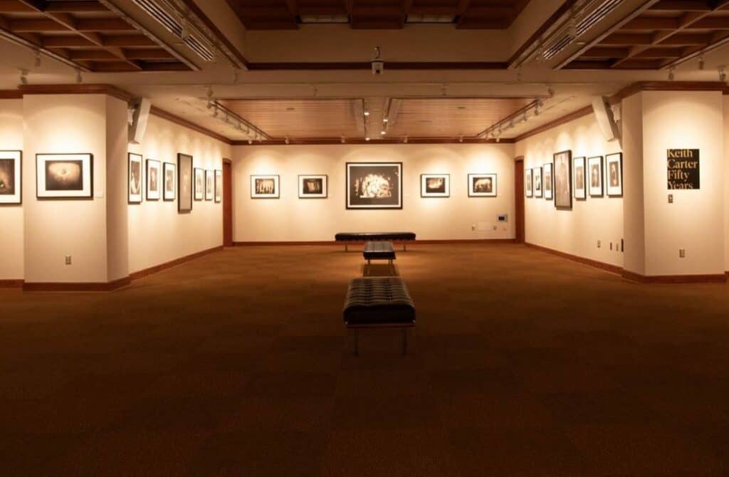 The Wittliff Collections
