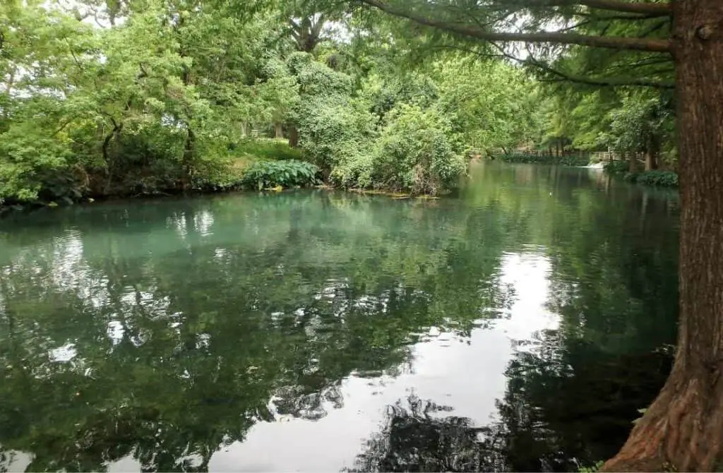 Beautiful Comal River, best things to do in New Braunfels