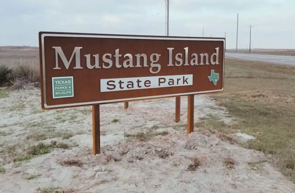 Mustang Island State Park, things to do in corpus christi